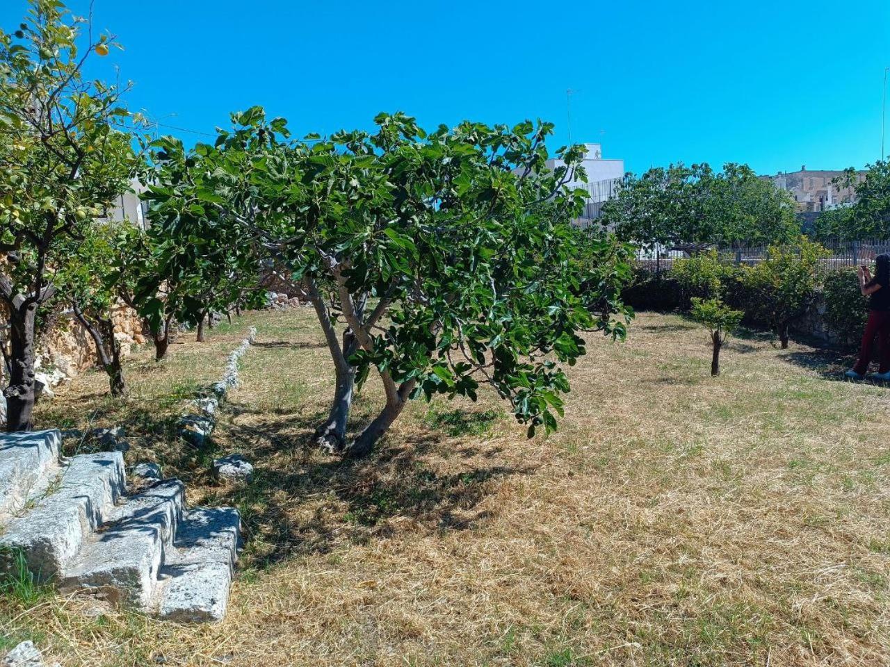 Apartamento Oasi Polignano a Mare Exterior foto